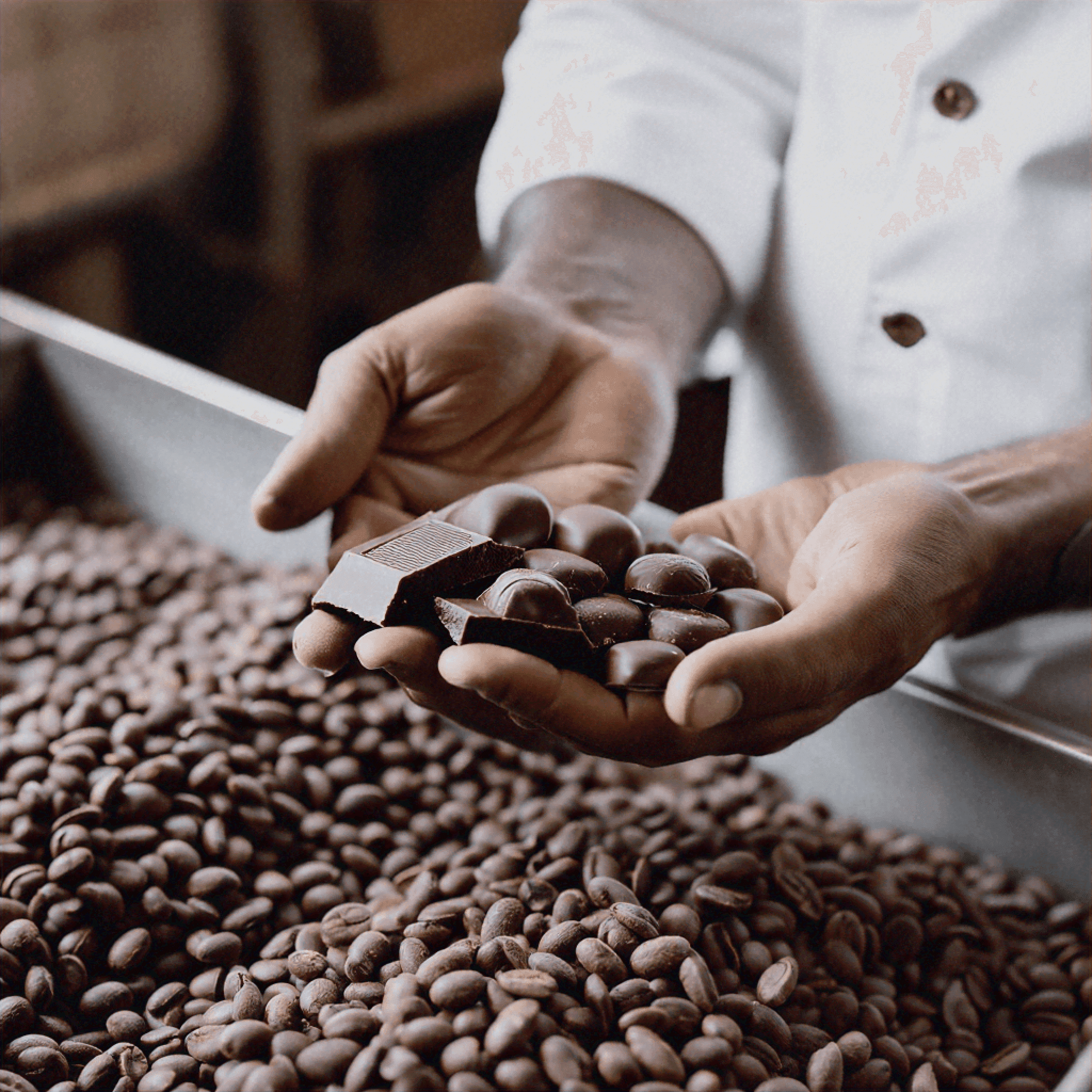Notre Chocolat